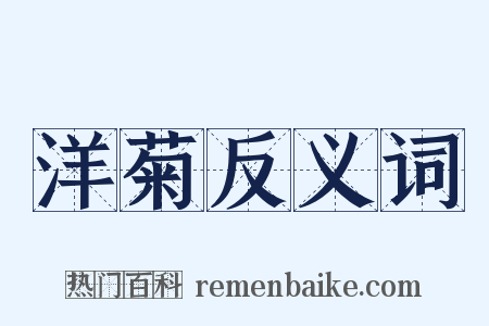 洋菊反义词是什么意思的图片